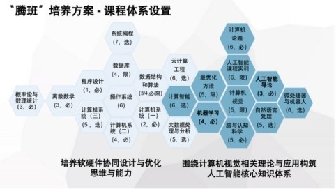 從象牙塔到鵝場(chǎng) 00后開(kāi)發(fā)者如何用AI技術(shù)讓鵝群存活率飆升30%